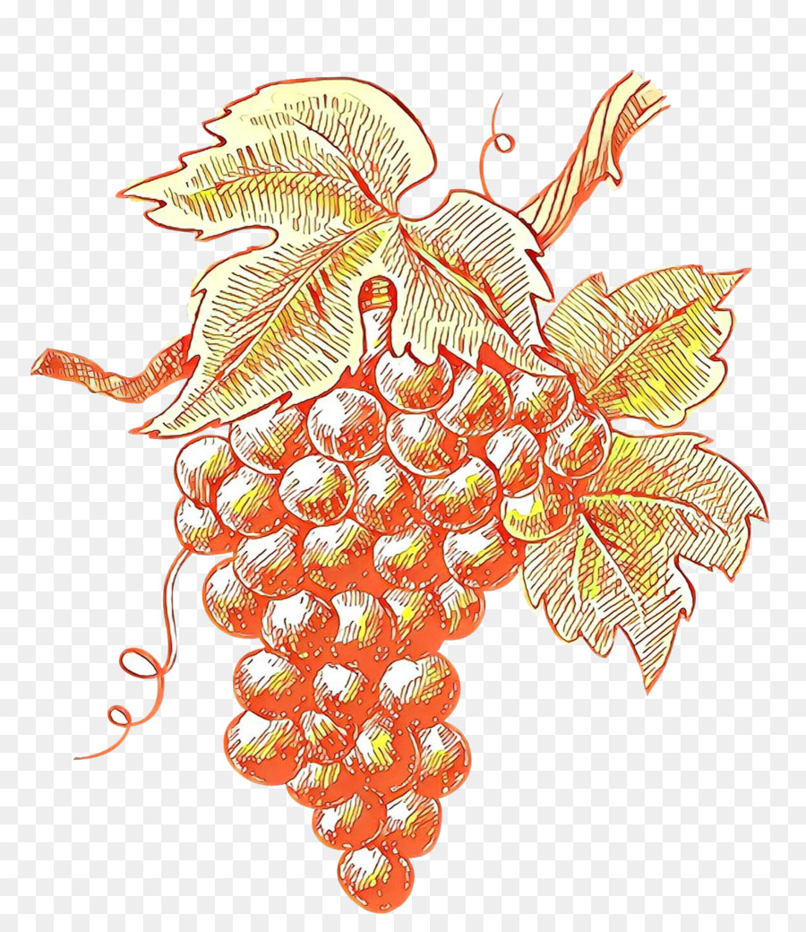 Uvas，Videira PNG