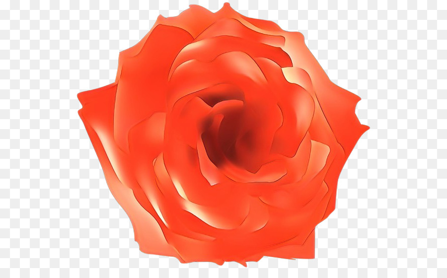 Rosa Vermelha，Florescer PNG