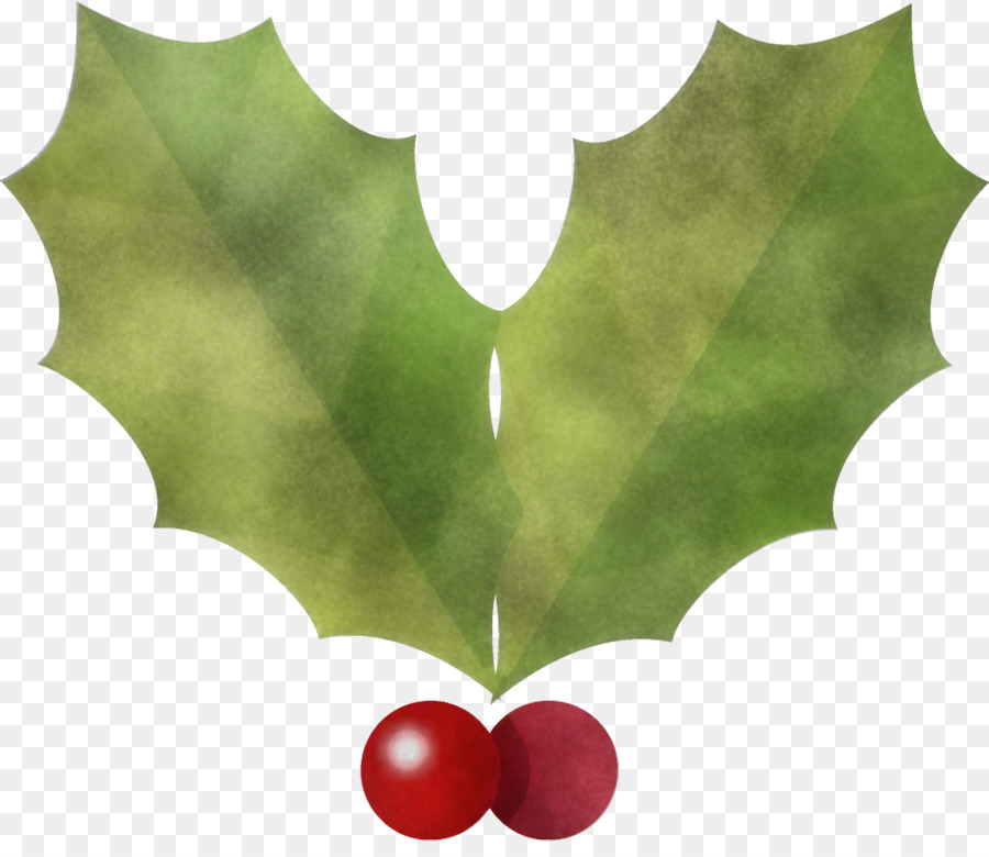 Holly，Verde PNG