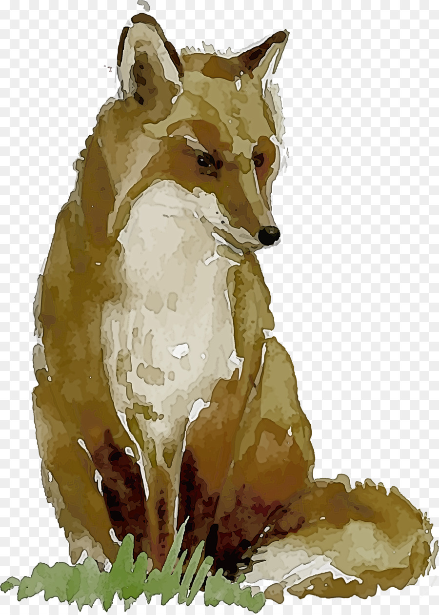 Raposa Vermelha，Swift Fox PNG