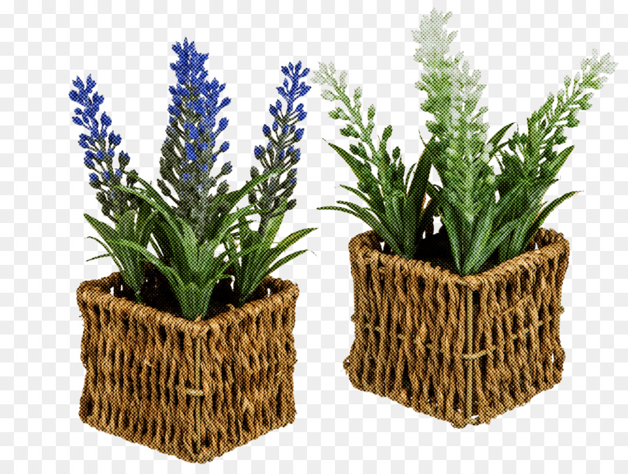 Flowerpot，Flor PNG