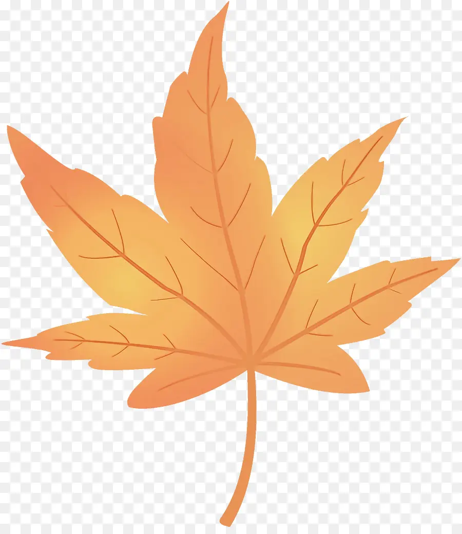 Folha，Maple Leaf PNG