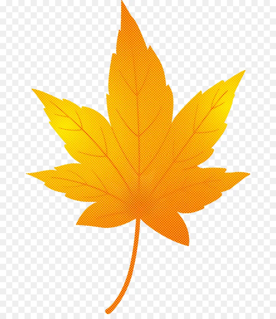 Folha，Maple Leaf PNG