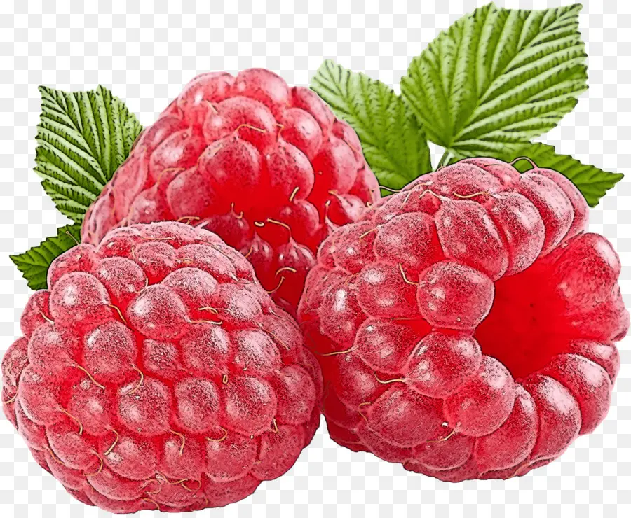 Berry，Frutas PNG