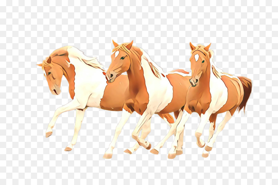 Cavalo，Animal Figura PNG