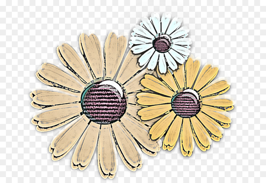 Gerbera，Flor PNG