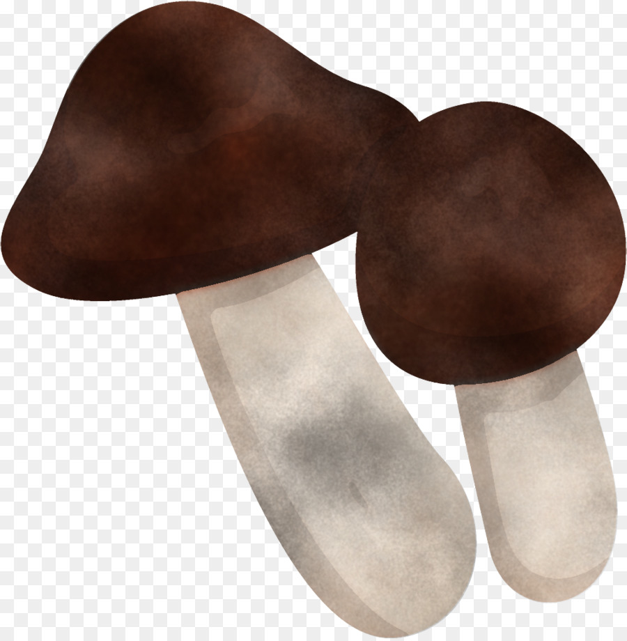 Cogumelo，Brown PNG