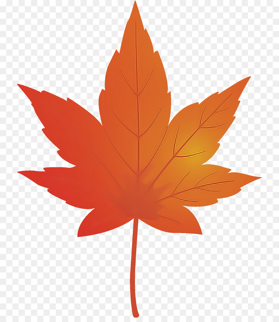 Folha，Maple Leaf PNG