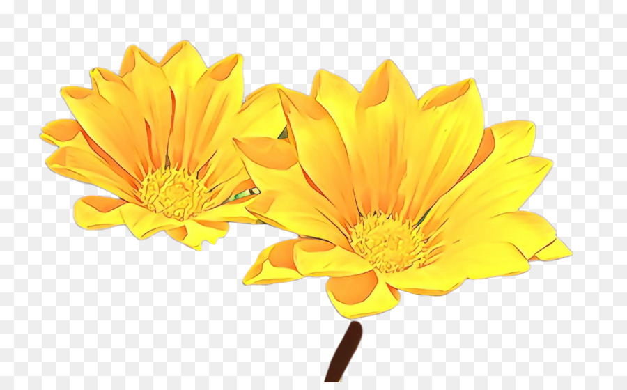 Flor，Amarelo PNG