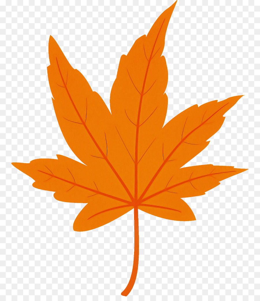 Folha，Maple Leaf PNG