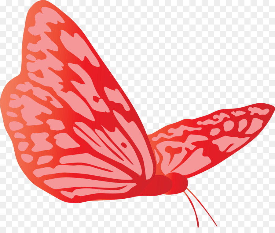 Borboleta，Vermelho PNG