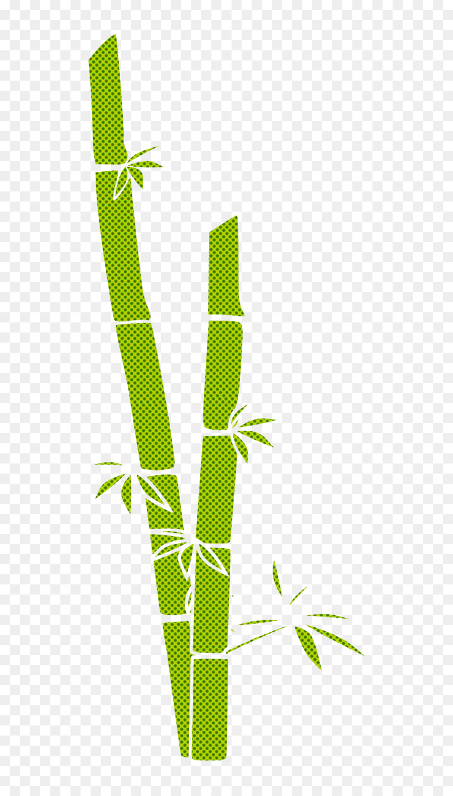 Bambu，Verde PNG