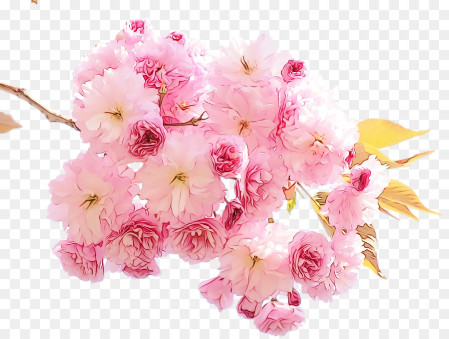 Flores Rosa，Florescer PNG