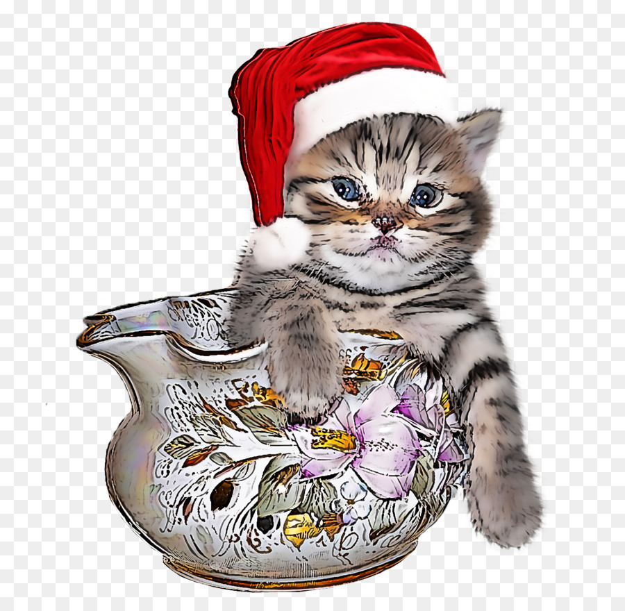 Gatinho，Gato PNG