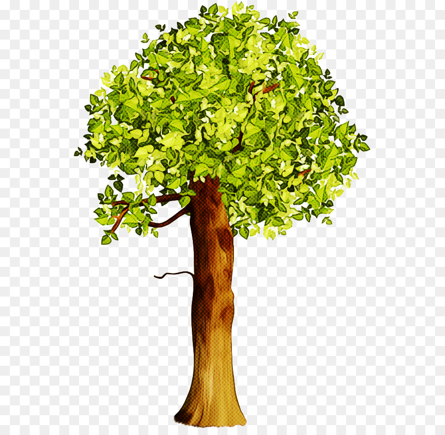 árvore，Planta PNG