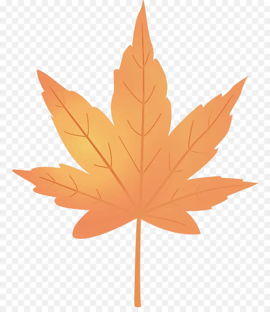 Folha，Maple Leaf PNG