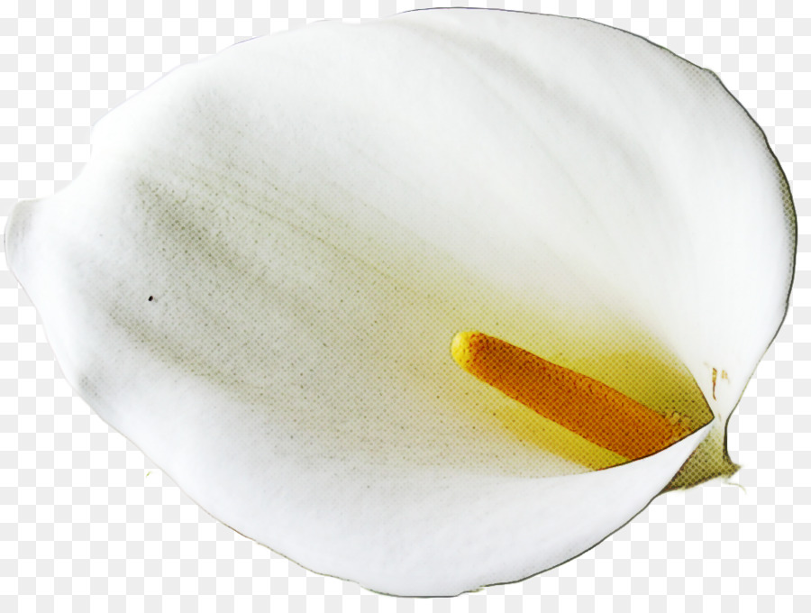 Branco， PNG