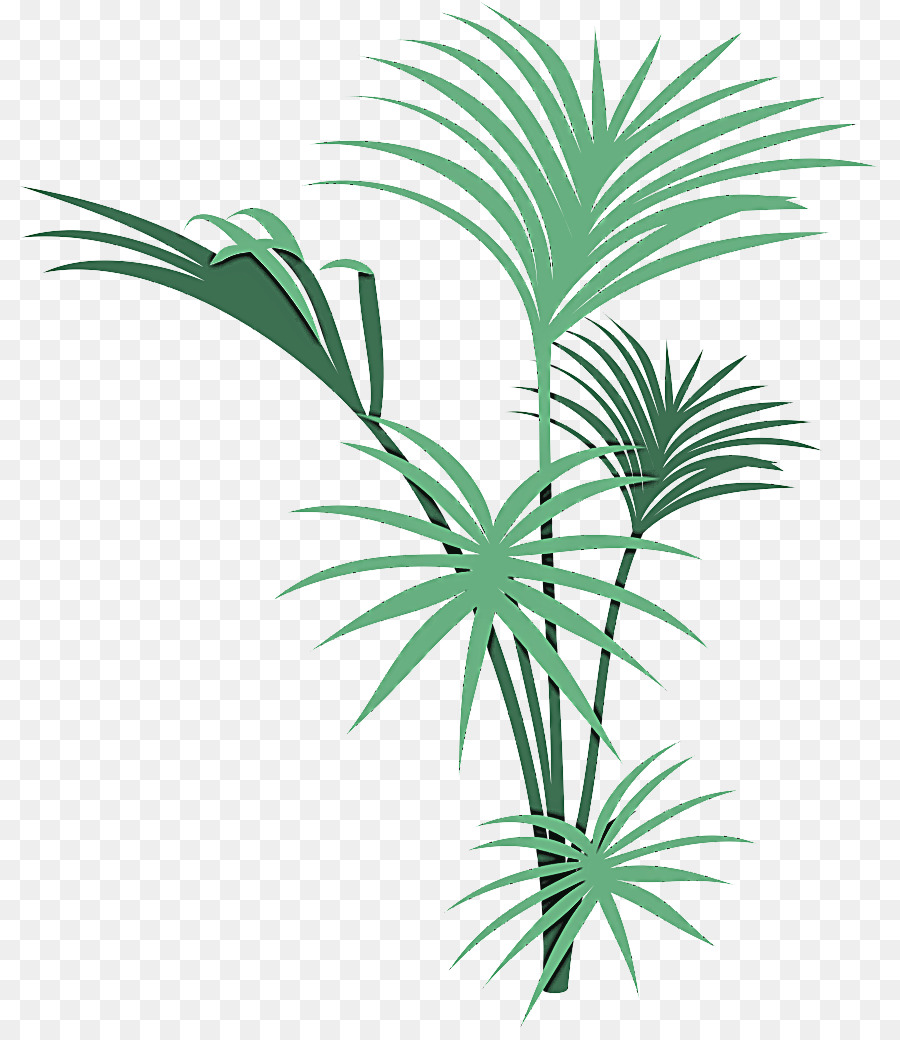 Planta，árvore PNG