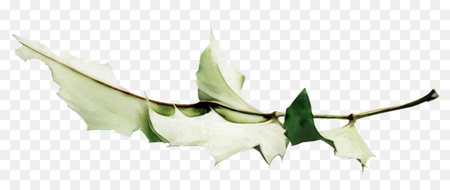 Folha，Planta PNG