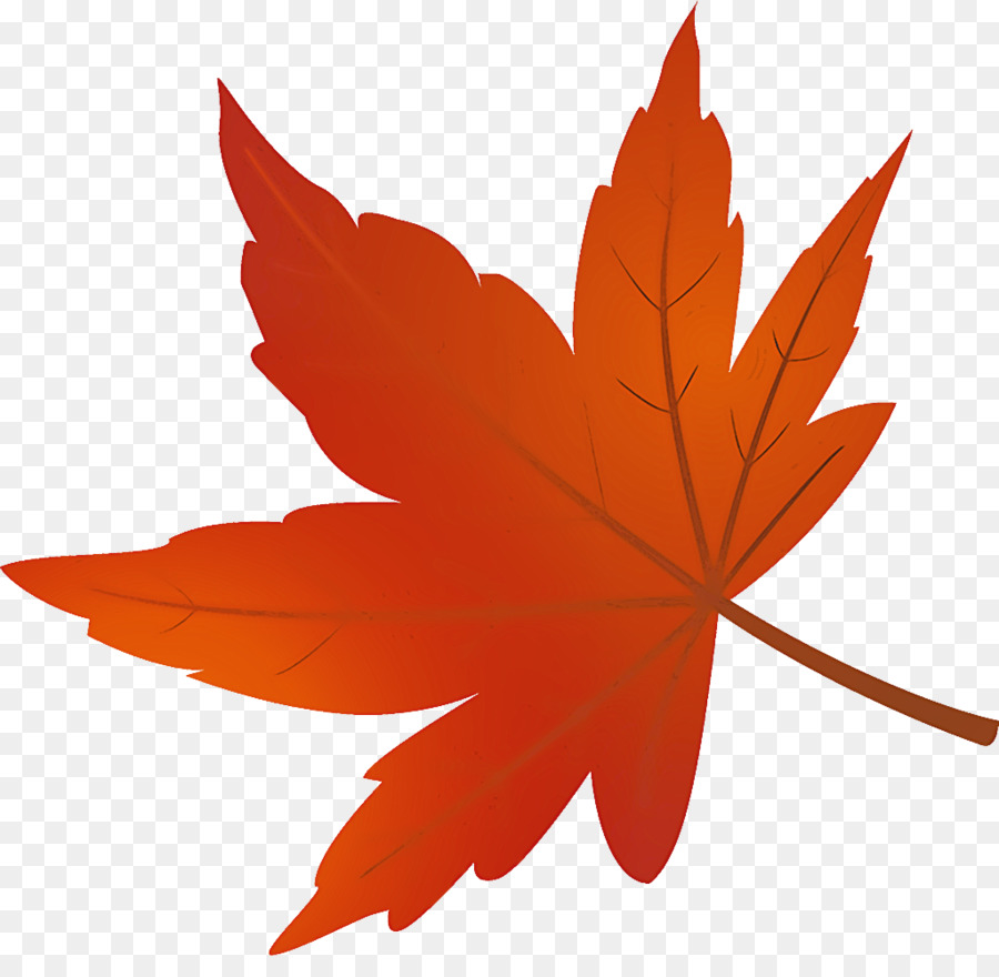 Folha，Maple Leaf PNG