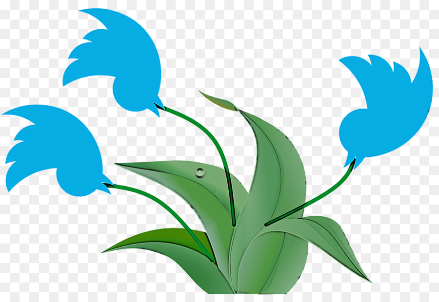 Folha，Planta PNG