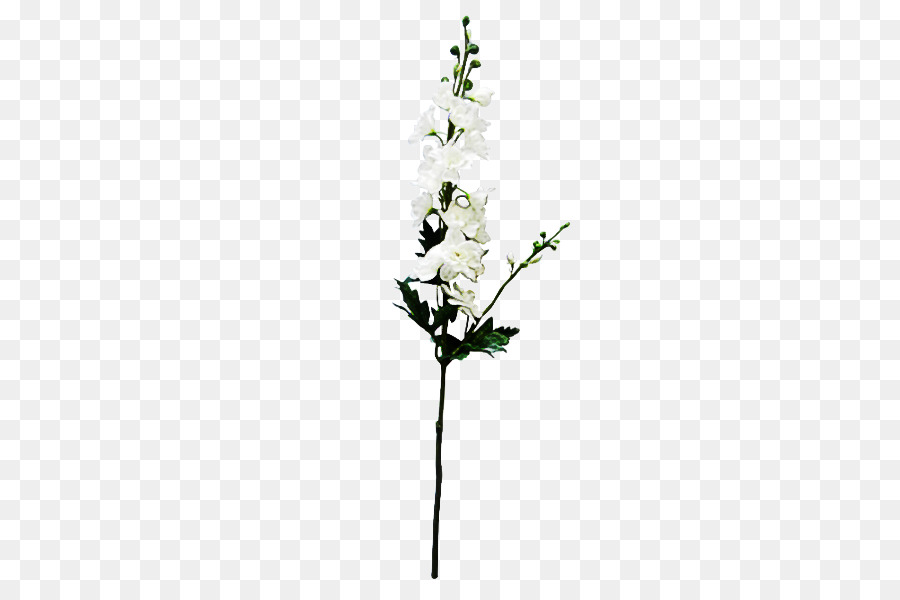 Branco，Flor PNG