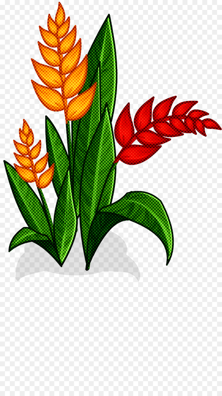 Flores Tropicais，Folhas PNG