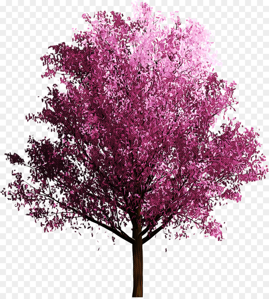 árvore，Cor De Rosa PNG