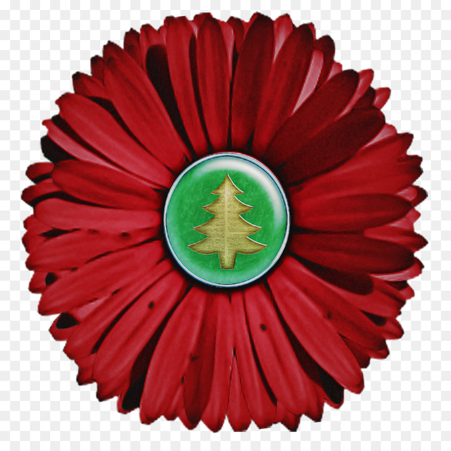 Vermelho，Flor PNG