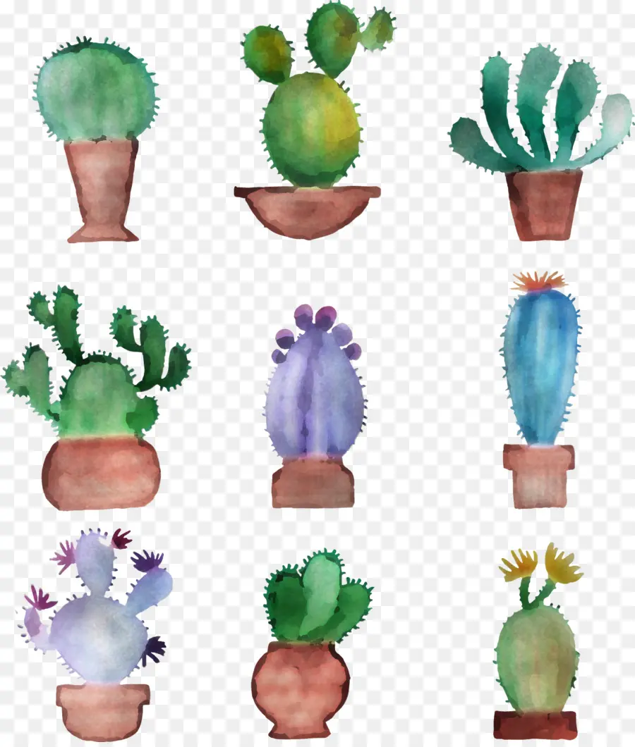 Cactus，Flowerpot PNG