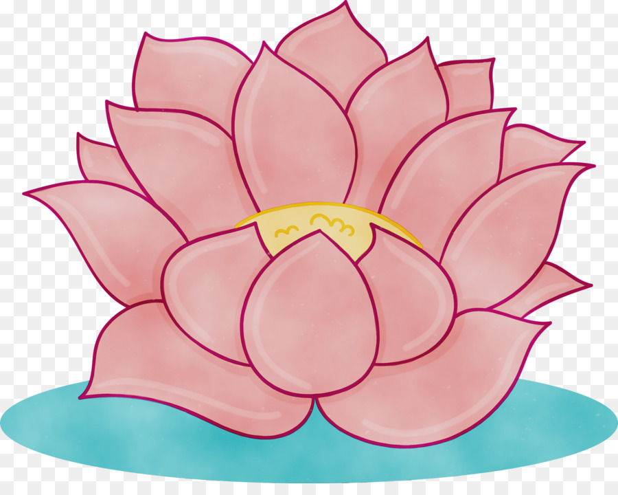 Lotus Família，Cor De Rosa PNG