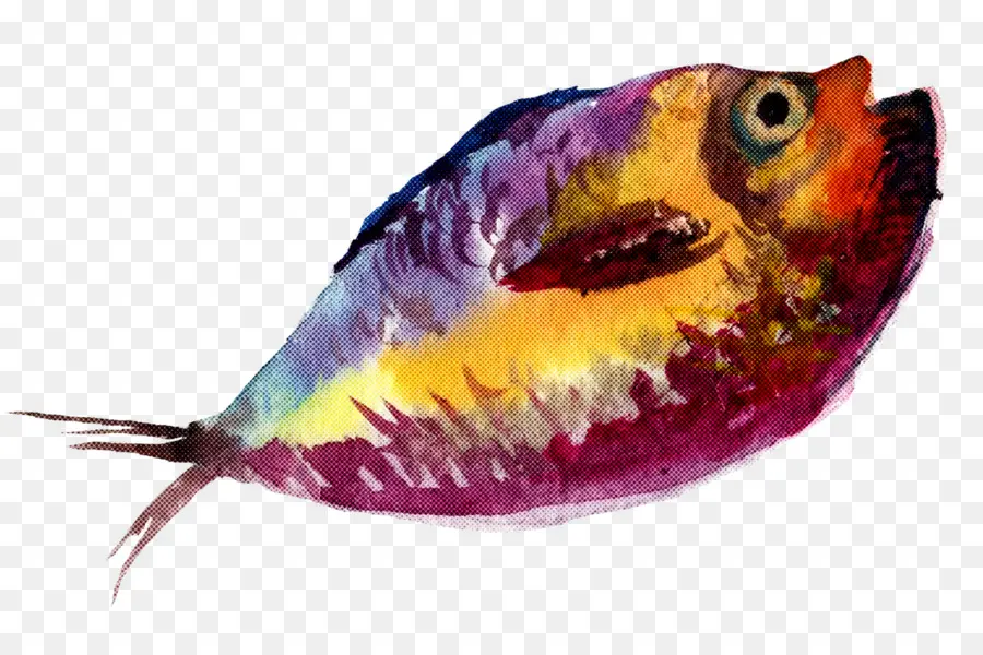 Peixe，Parrotfish PNG