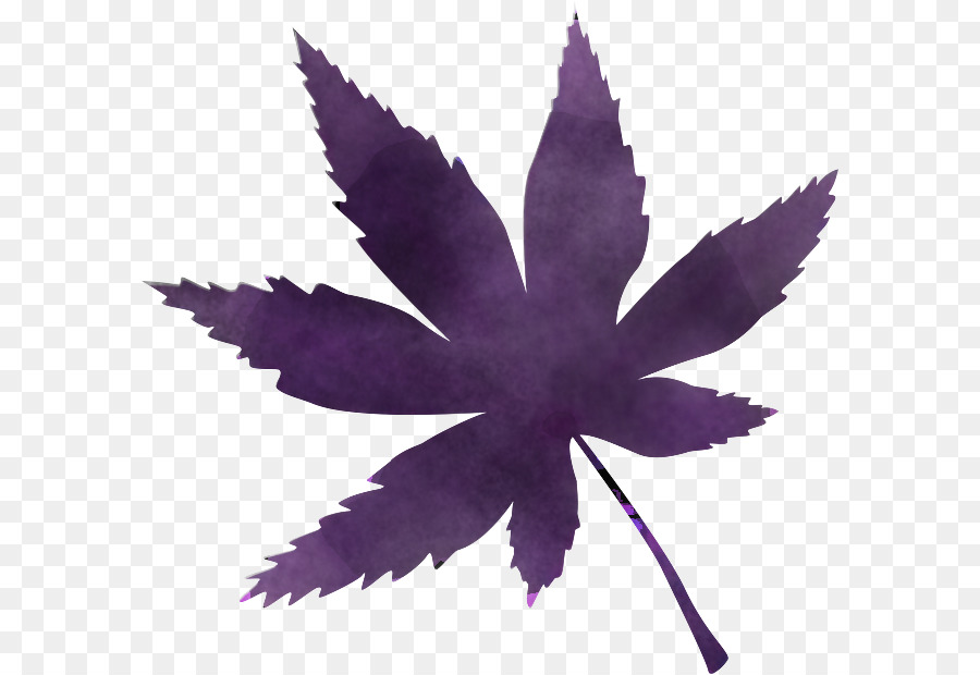 Folha，Roxo PNG