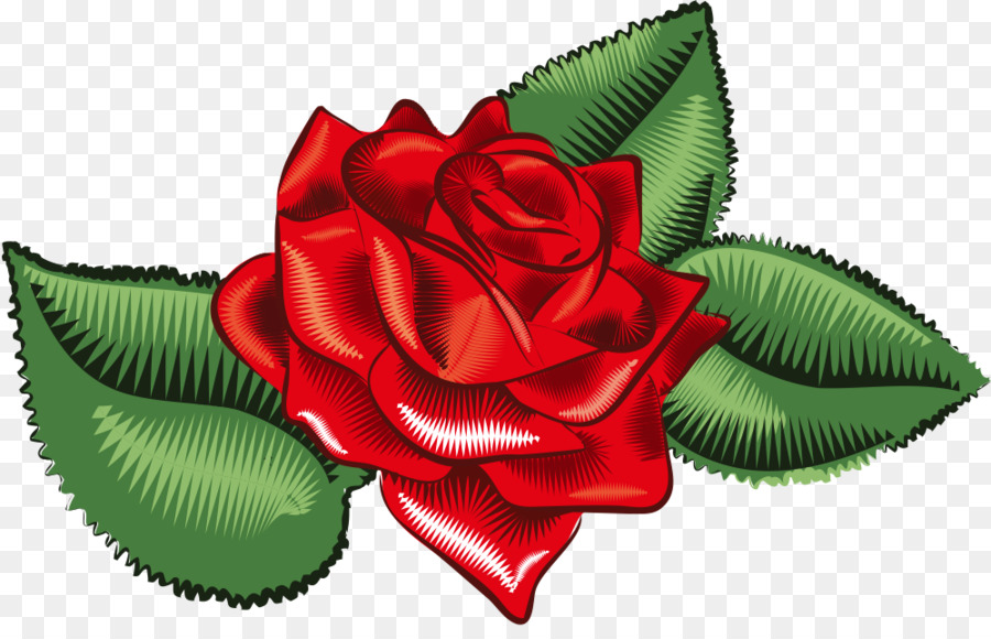 Rosa，Vermelho PNG