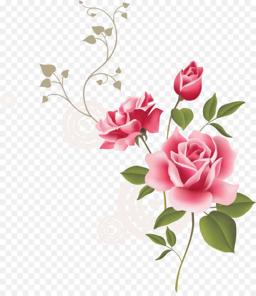 Rosas Vermelhas，Florescer PNG