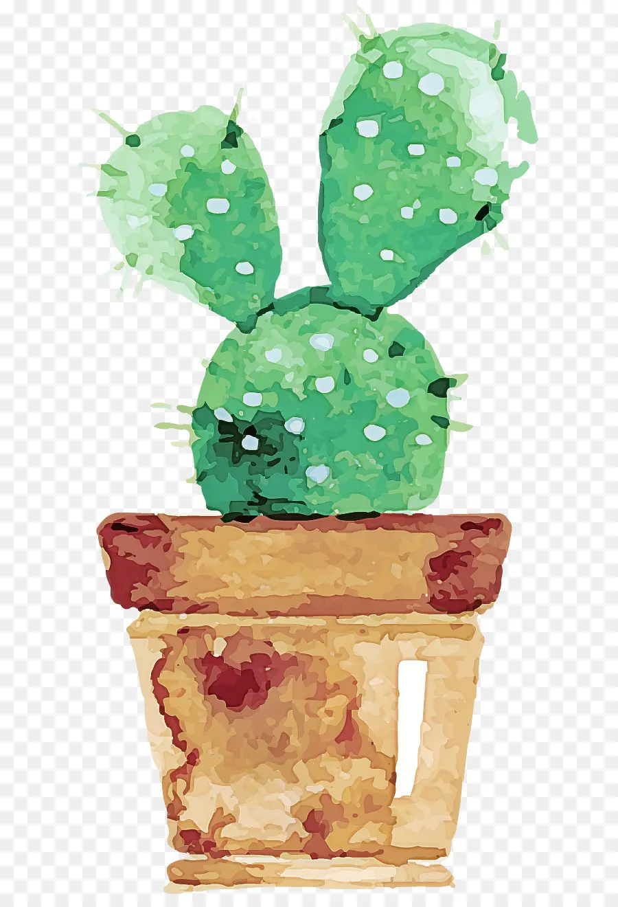 Verde，Cactus PNG