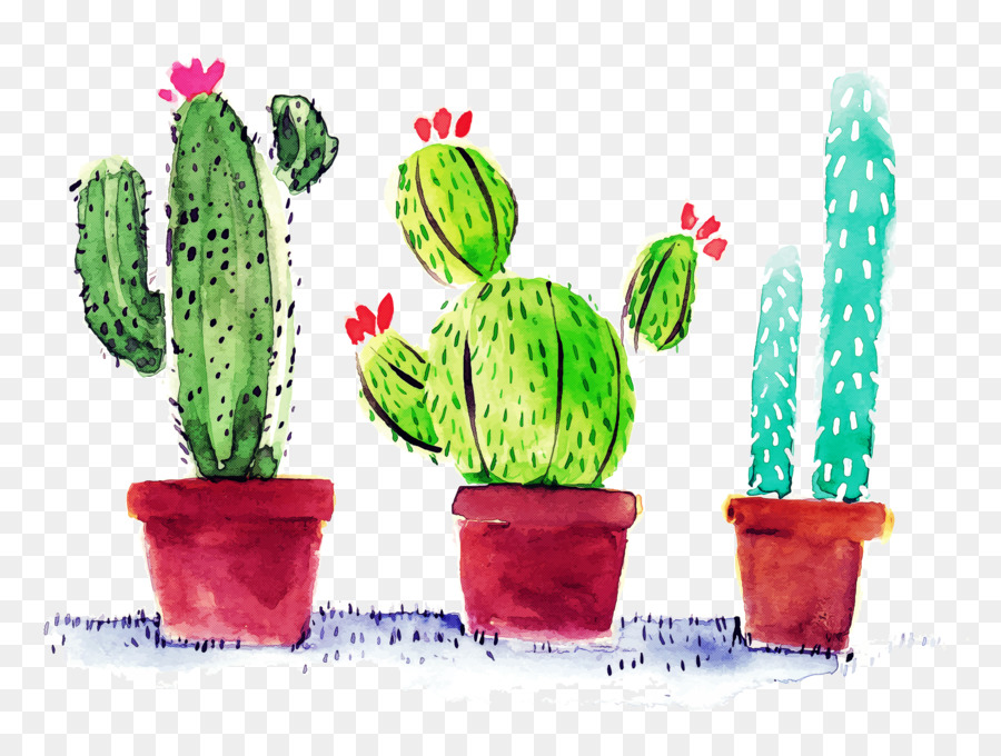 Cactus，Planta PNG