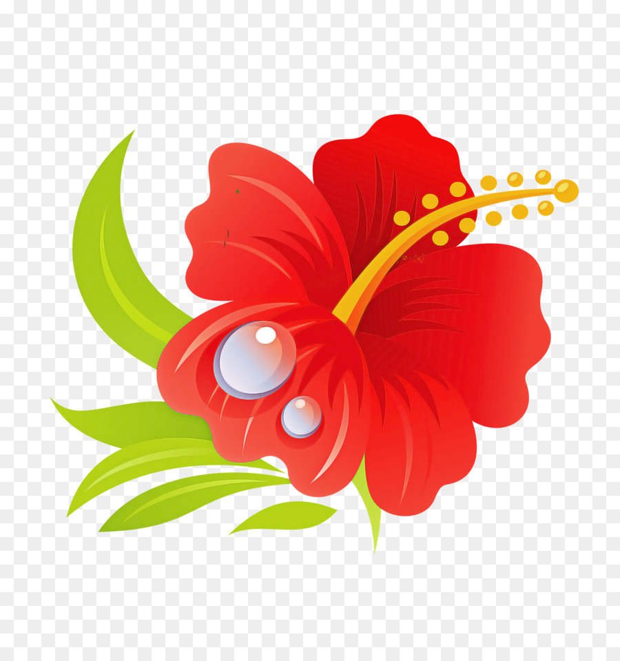 Havaiano De Hibisco，Flor PNG