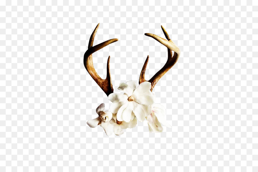 Corno，Antler PNG