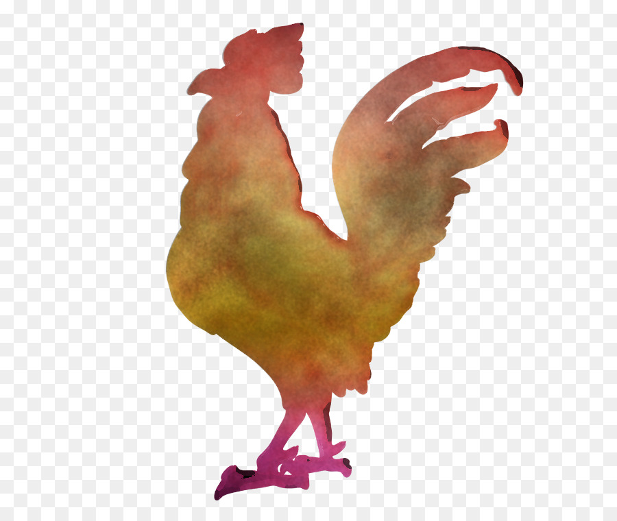 Frango，Galo PNG