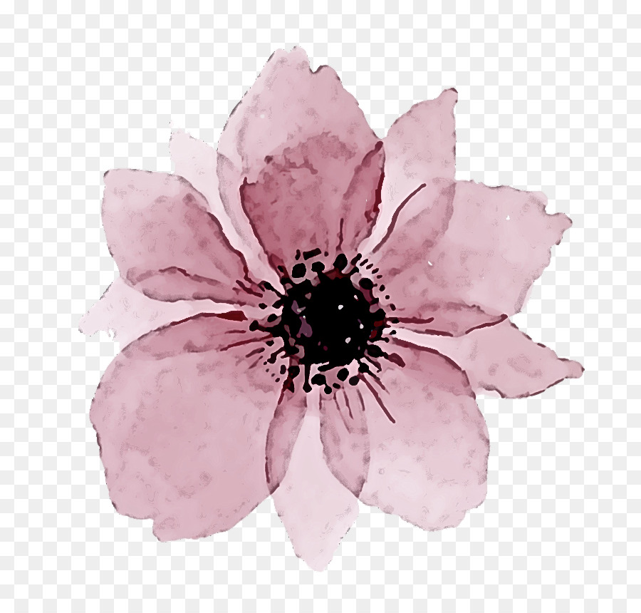 Flor，Florescer PNG