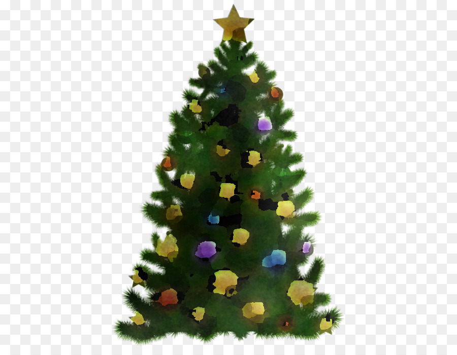 árvore De Natal，Bálsamo Fir PNG