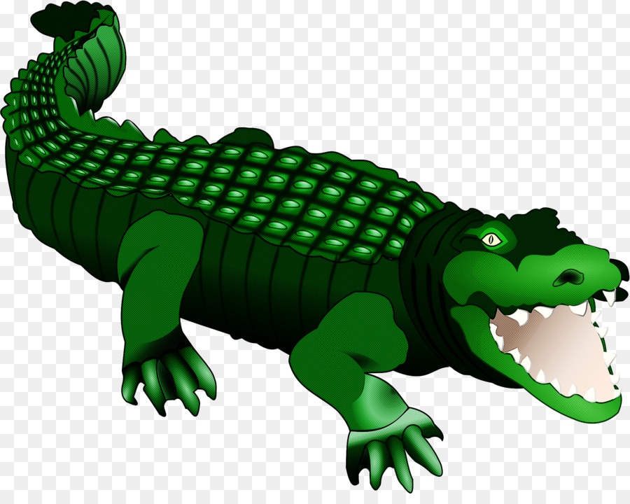 Répteis，Crocodilia PNG