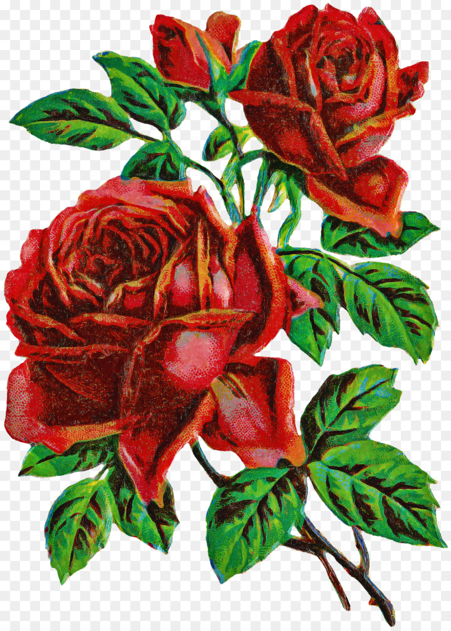 Rosas Vermelhas，Ramalhete PNG