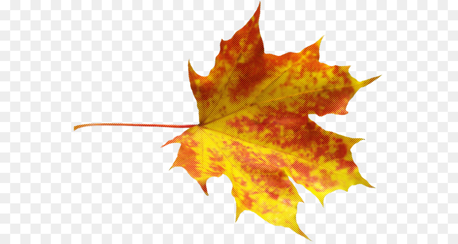 Folha，Maple Leaf PNG