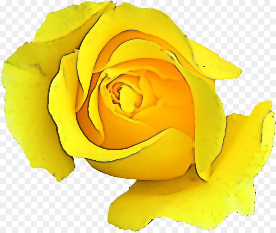 Amarelo，Rosa PNG