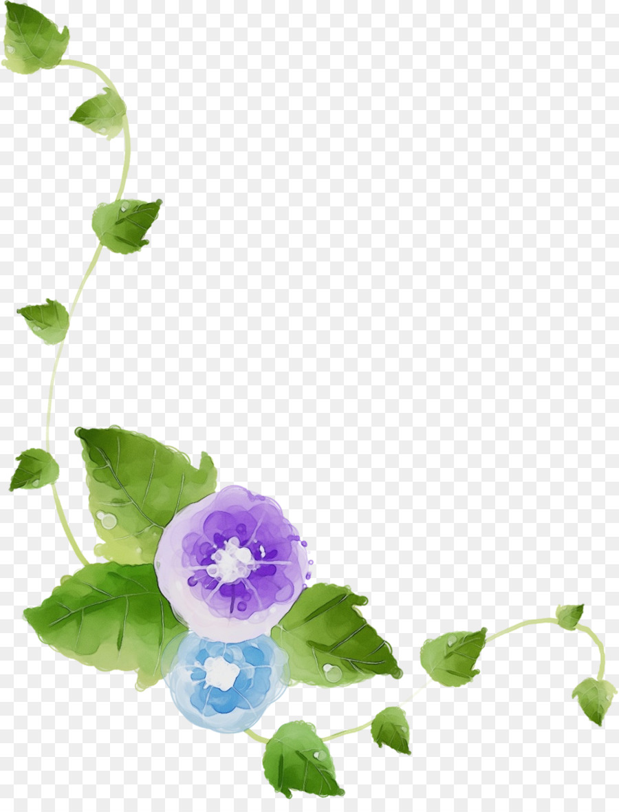 Violeta，Flor PNG