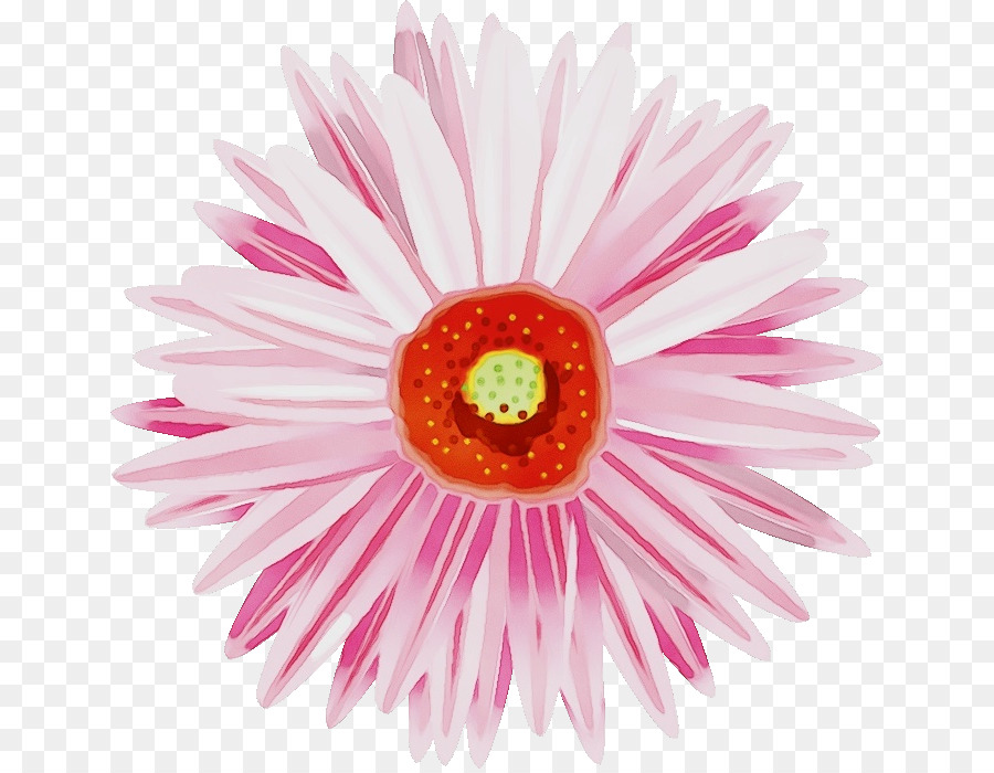 Flor，Florescer PNG