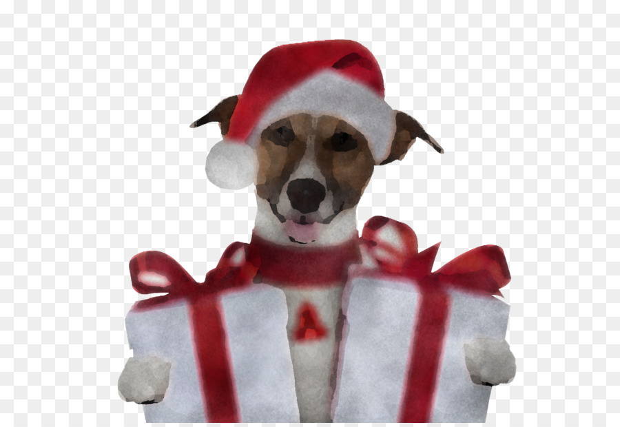 Cachorro，Jack Russell Terrier PNG