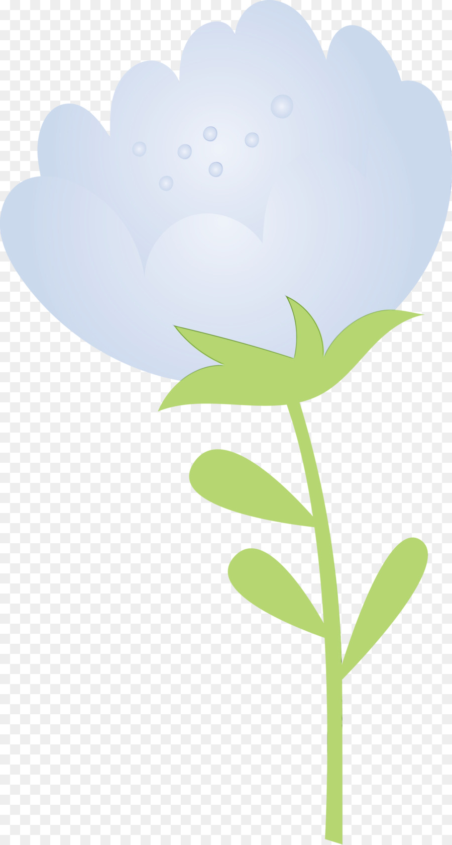 Folha，Planta PNG